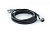 large-54342